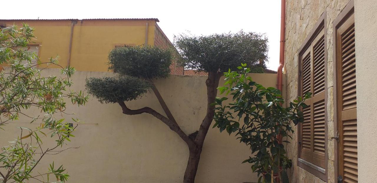 Il Vecchio Ginepro Bed & Breakfast คาโปแตร์รา ภายนอก รูปภาพ