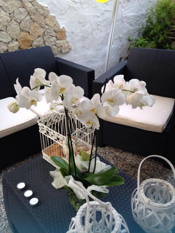 Il Vecchio Ginepro Bed & Breakfast คาโปแตร์รา ภายนอก รูปภาพ